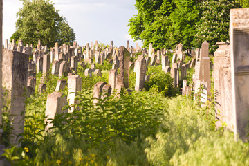 The Old Jewish cemetery at colorful sunset sky, Chernivtsi Ukraine.