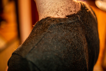 hair on a t-shirt after cutting