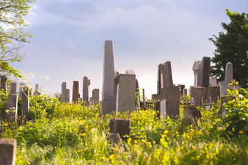 The Old Jewish cemetery at colorful sunset sky, Chernivtsi Ukraine.