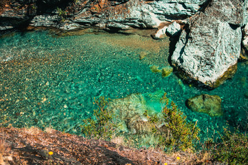 small river in the forest