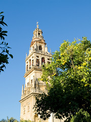 Fototapeta na wymiar Bell Tower (Torre de Alminar) of Cathedral Mosque, Mezquita de Cordoba. Andalusia, Spain.