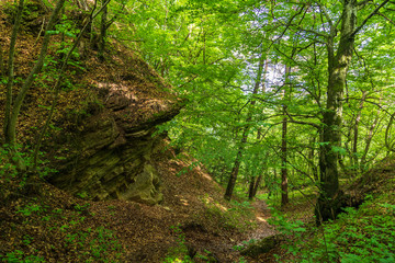The municipality of Appiano in South Tyrol in northern Italy.