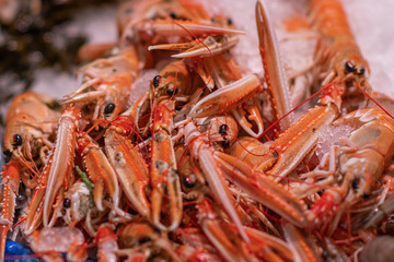 langoustine on the market
