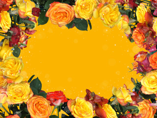 Frame of multicolored roses on a yellow background. 