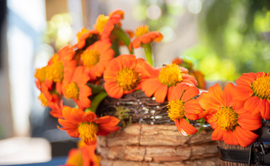orange flowers arranged in rustic containers with natural light