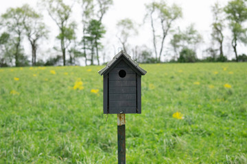 bird house