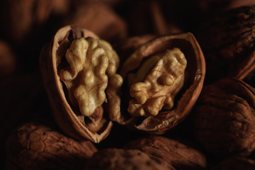 photos of walnuts made with a macro lens in Galicia, Sapin