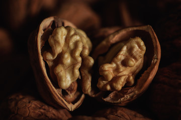 photos of walnuts made with a macro lens in Galicia, Sapin