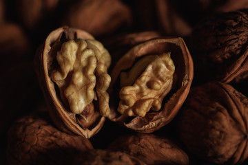 photos of walnuts made with a macro lens in Galicia, Sapin