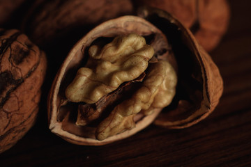 photos of walnuts made with a macro lens in Galicia, Sapin