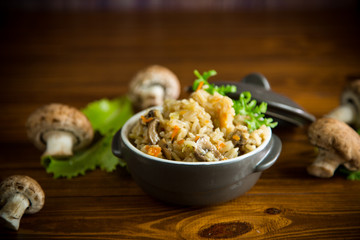 vegetarian cooked rice with mushrooms in a ceramic bowl