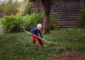 little girl in the country with a rake