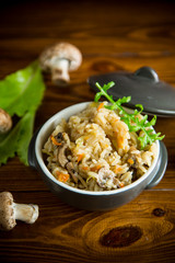 vegetarian cooked rice with mushrooms in a ceramic bowl