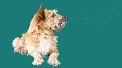 Low poly illustration of a dog sitting and looking attentively to the right.