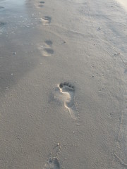 footprints in the sand