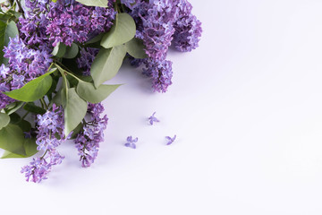 spring purple lilac flowers lie on a table