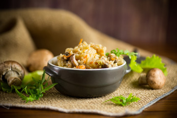 vegetarian cooked rice with mushrooms in a ceramic bowl