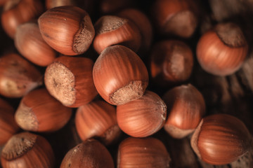 photos of hazelnuts in a town in Galician,Spain.