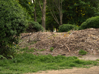 a pile of garbage in a city block. Garbage dump in the city district