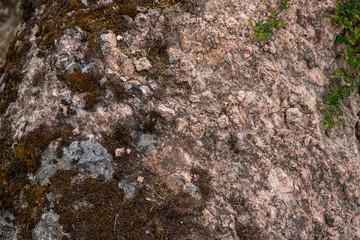 The detail texture of stone with green grass.
