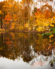 Calm pond in Autumn in Virginia, bright fall foliage surrounding smooth water.