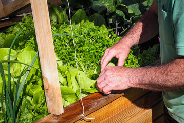 Close up of a man gardening 