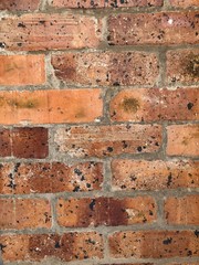 brick wall background