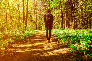 Hipster girl with a backpack is walking on the pathway in forest. Back view photo of female backpacker in the woods.