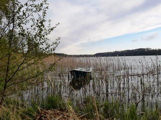 lake in the woods © Jacek
