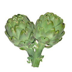 Artichoke isolated on white background with clipping path