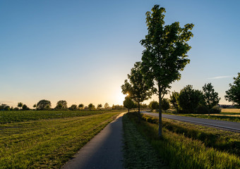 country road in tuscany italy