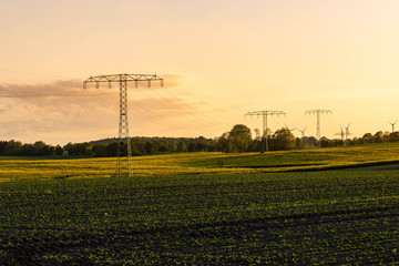 power lines and high voltage power pylon in the field - agricultural field, rapeseed