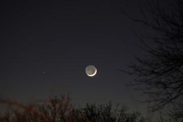 うすい三日月３