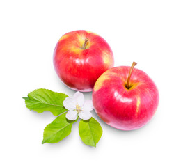Two red apples with flowers and green leaves isolated on a white background.