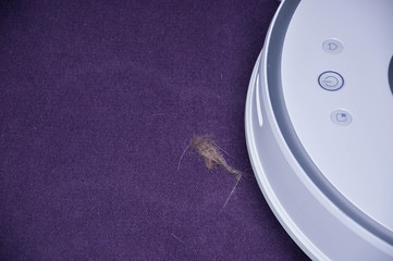White round robot vacuum cleaner runs on a dirty carpet to remove the cat hairball. Smart house device.
