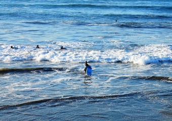 surfing the waves - obrazy, fototapety, plakaty
