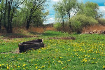 stara drewniana łódka na trawie wśród kwiatów podlaskie polska Europa