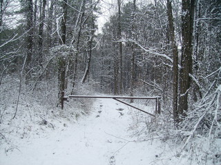 Snow Covered Gated Road