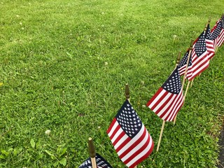 american flags on the grass