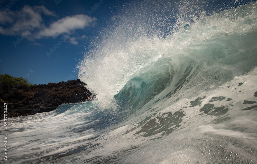 Wall mural Wave action in Hawaii