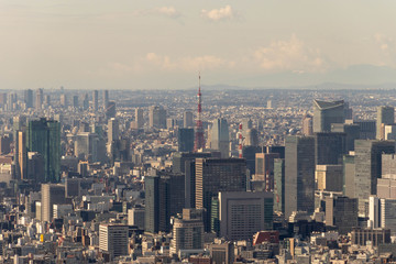 Fototapeta na wymiar Tokyo CIty from the Skytree