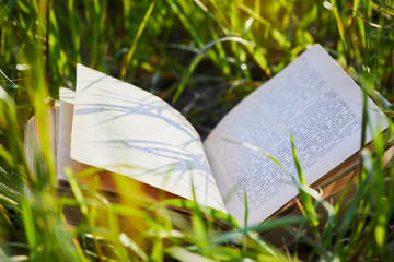 Summer spring background with open book. Back to school. Copy Space
