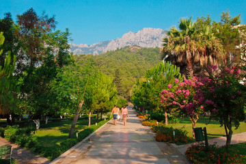 Beautiful alley in the park with tourists walking into the distance. A path made of stone slabs among tropical vegetation. Summer walk on a hot sunny day in the highlands. Travel, vacation. Soft focus