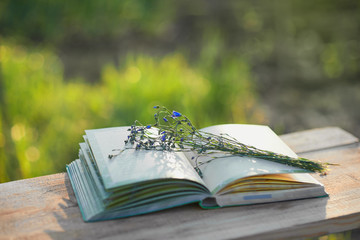 Beautiful bouquet of Linum lies in the open book on a soft green summer background of summer...