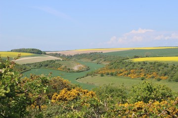 West Dale, near Fordon, East Riding of Yorkshire.