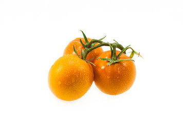 Yellow tomatoes with water drops on white isolated