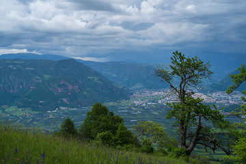 The municipality of Appiano in South Tyrol in northern Italy.