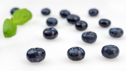 blurred blue berry defocus on the white backgraund