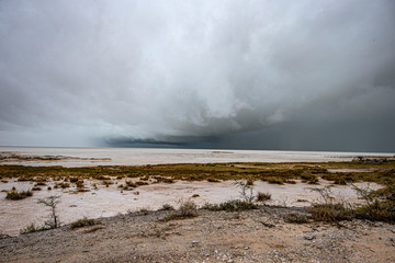 Thunderstorms at the Salvadora waterhole