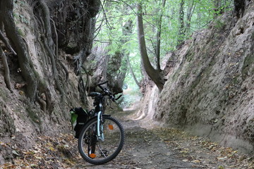 Wąwozy w Kazimierzu Dolnym, szlak rowerowy